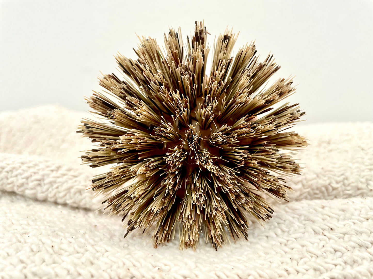 Pot Scrub Brush