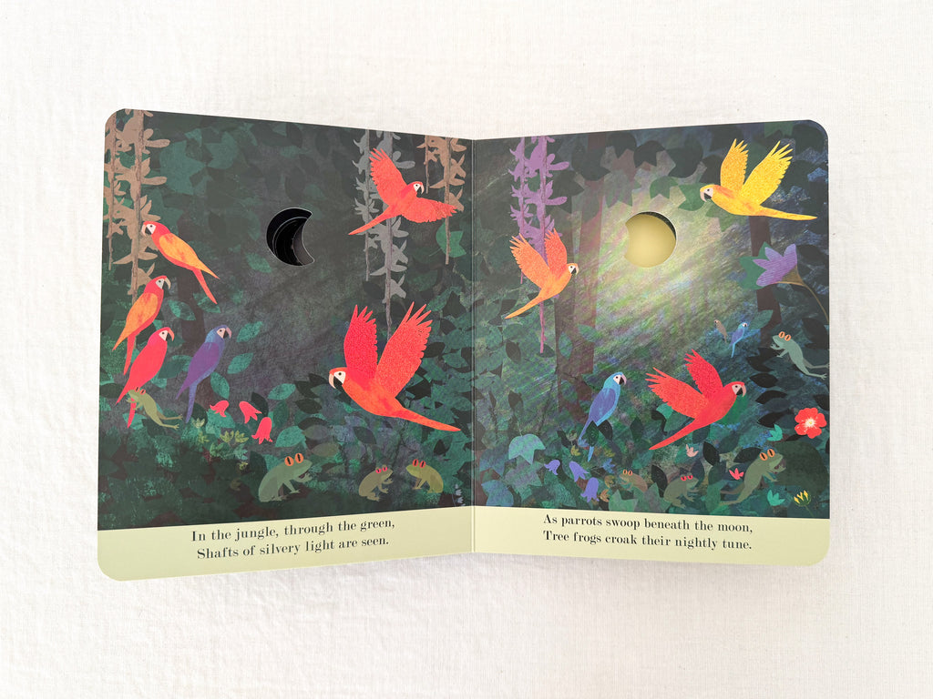 Moon: A Peek-Through Picture Book