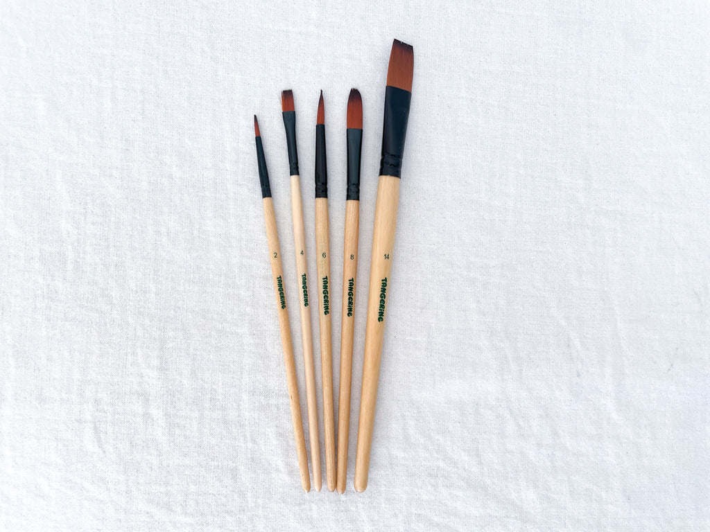 Art Paintbrush Set