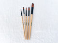Art Paintbrush Set