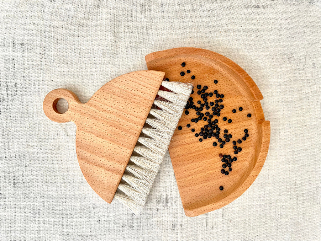 Table Brush + Dust Pan