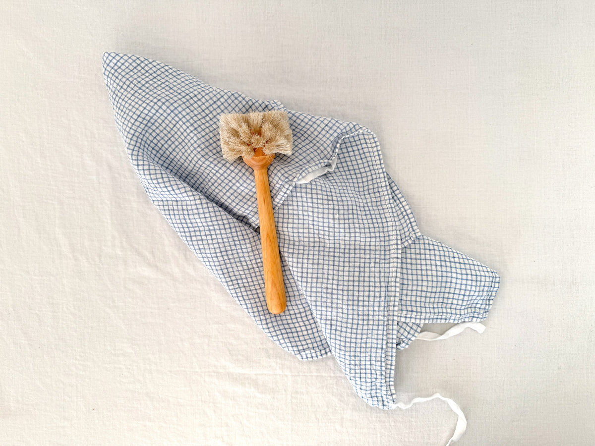 Glass Brush