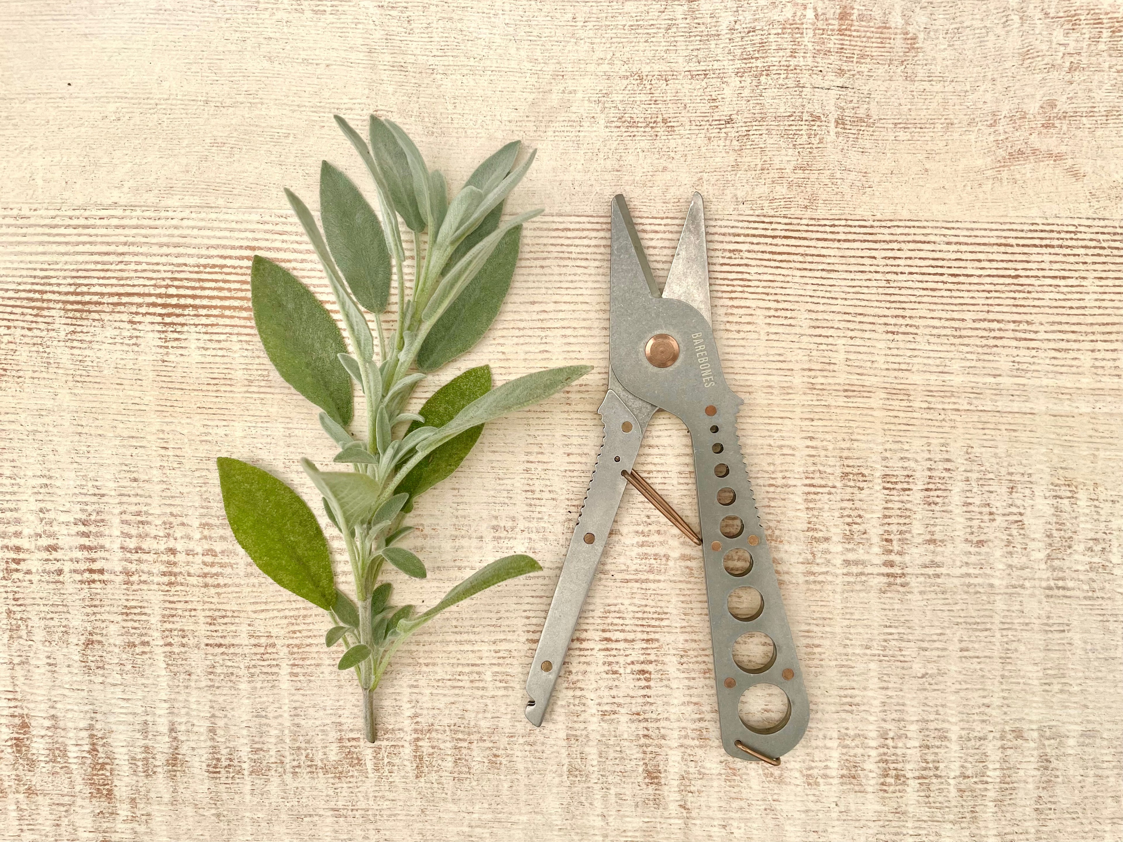 Herb Clipper + Stripper