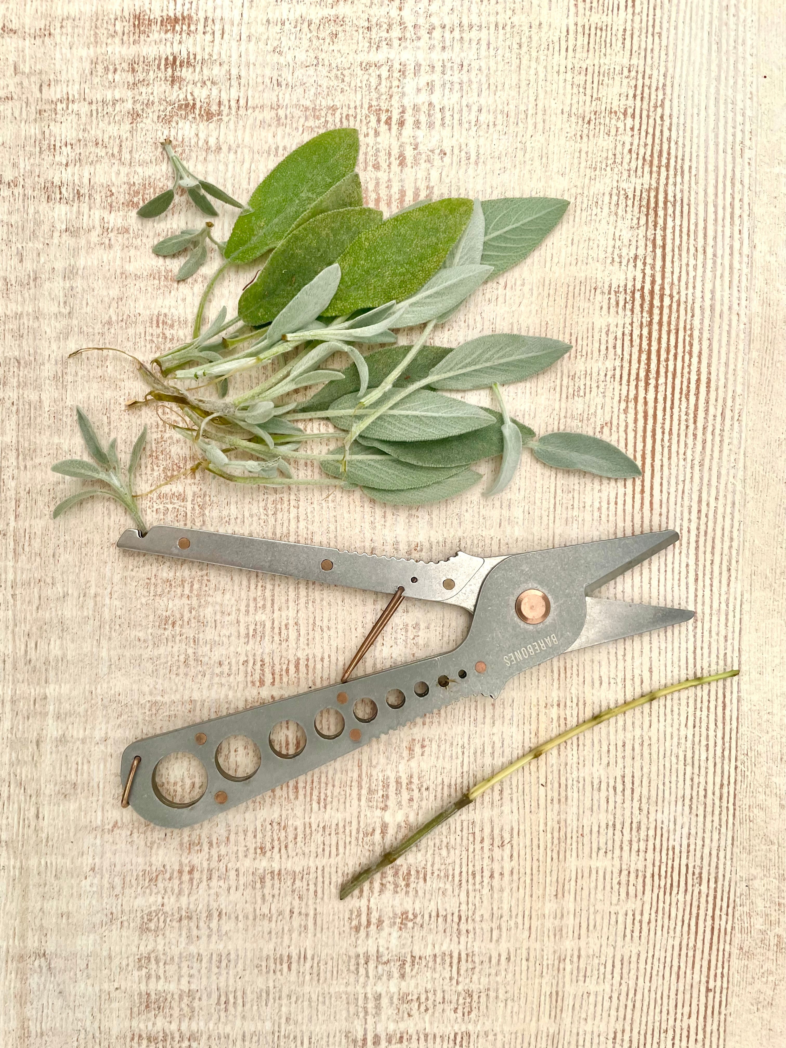 Herb Clipper + Stripper