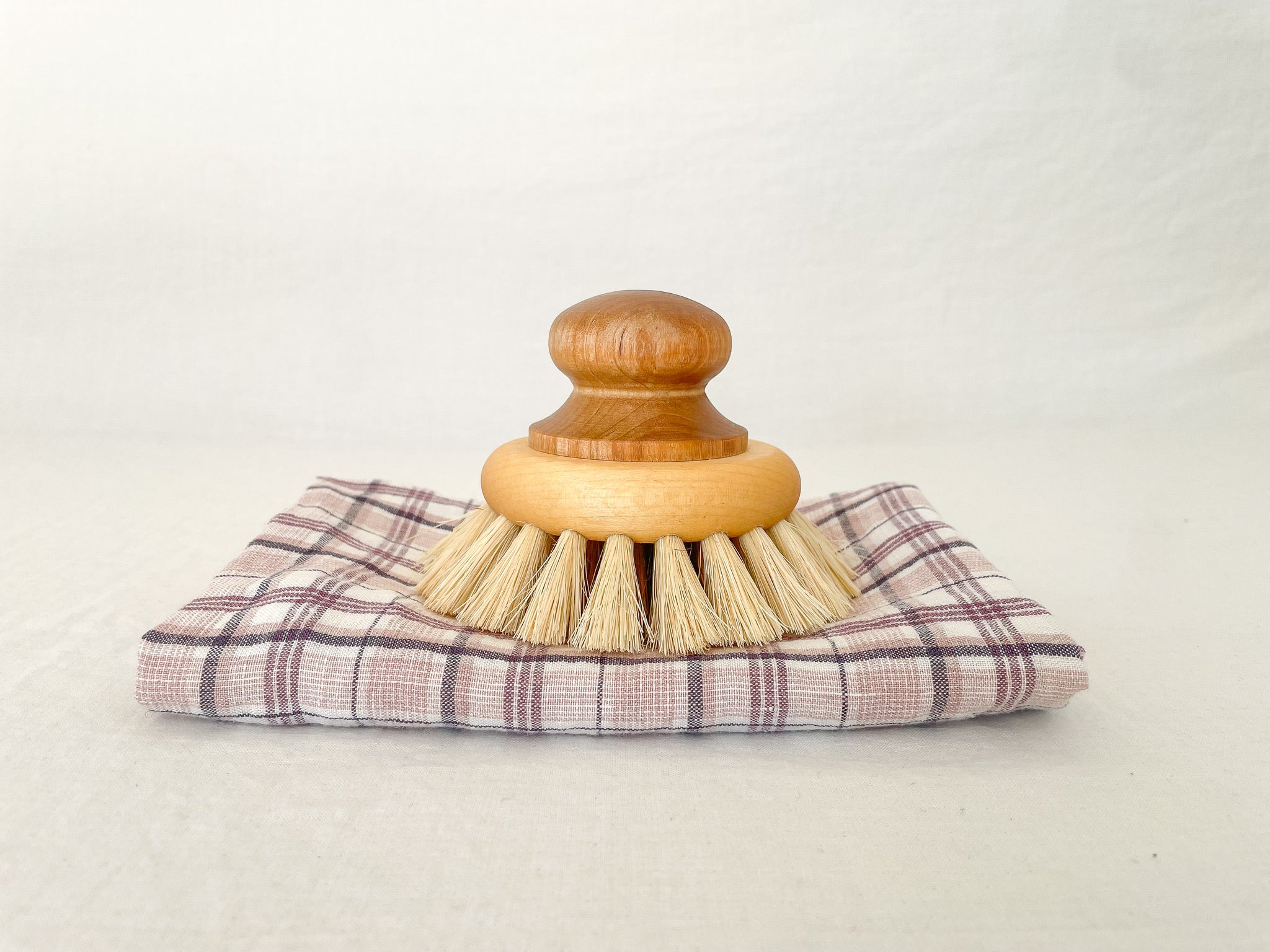 Large Pan Brush