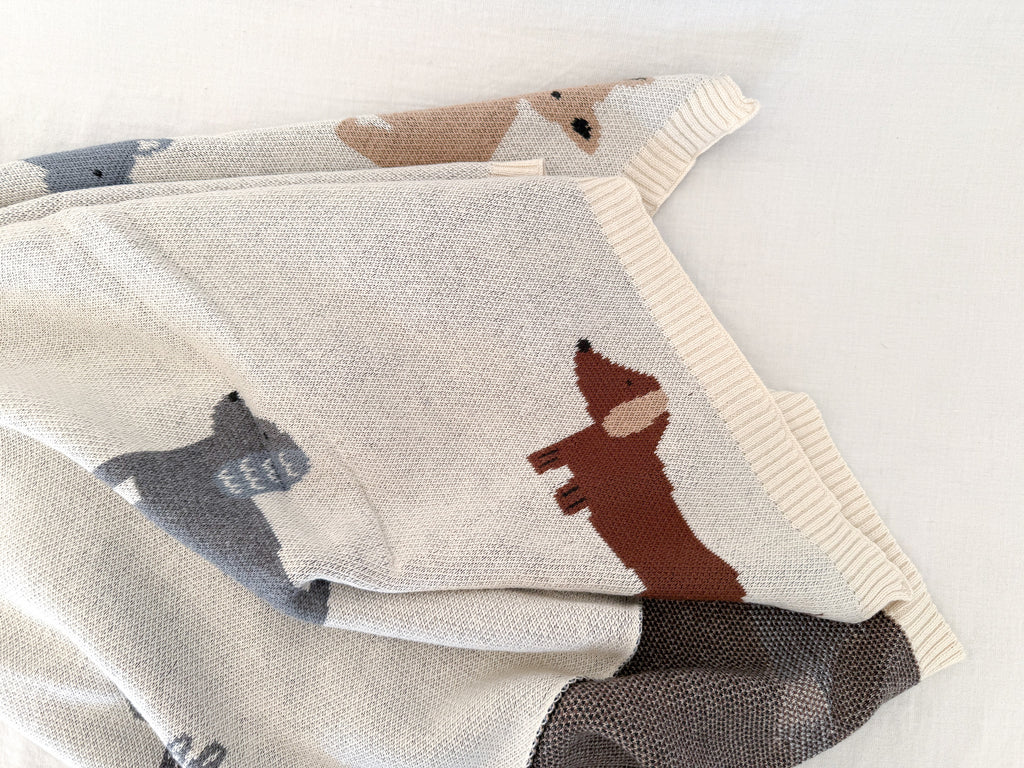 Buddy Dog Baby Blanket