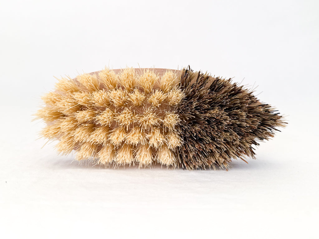 Vegetable Brush