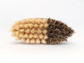 Vegetable Brush