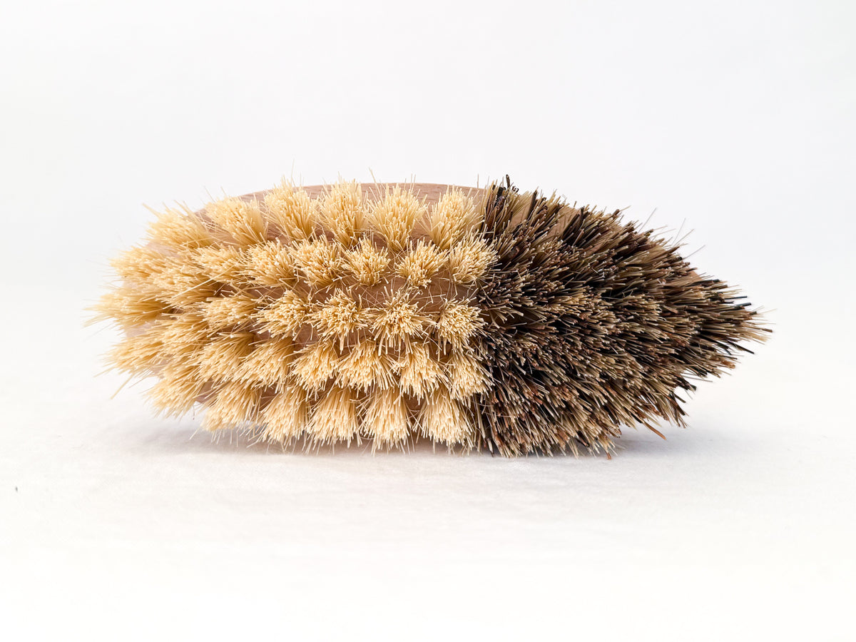Vegetable Brush