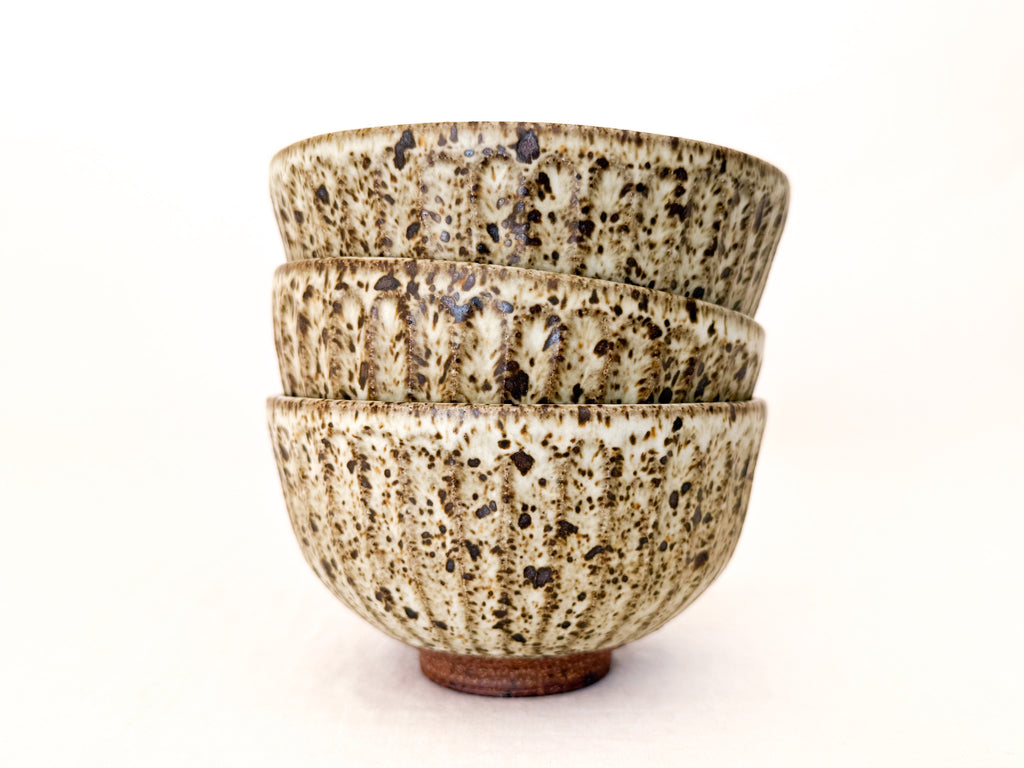 Speckled Shinogi Rice Bowl