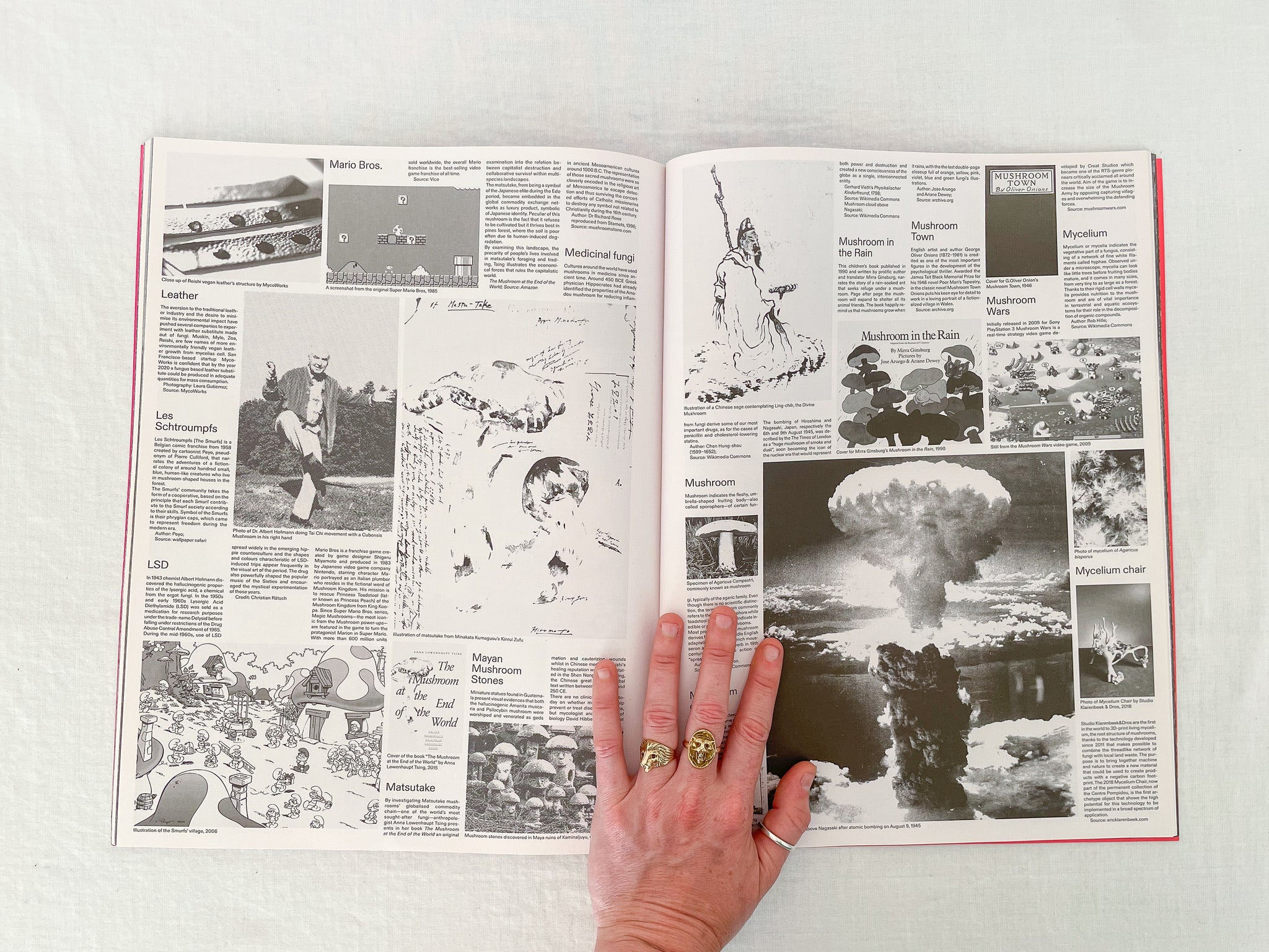 Shelter Cookbook