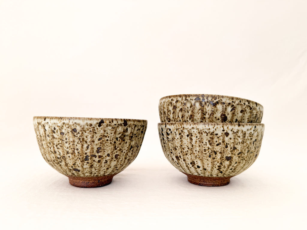 Speckled Shinogi Rice Bowl