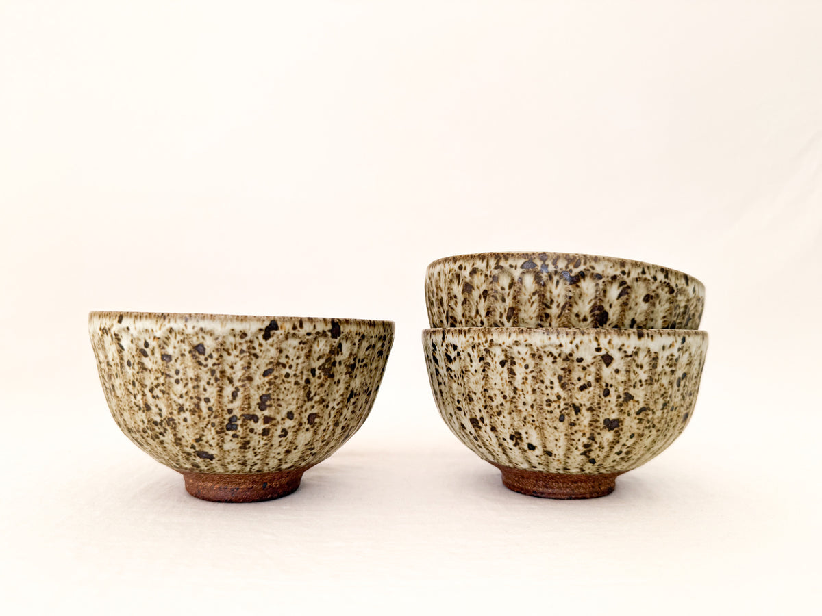 Speckled Shinogi Rice Bowl