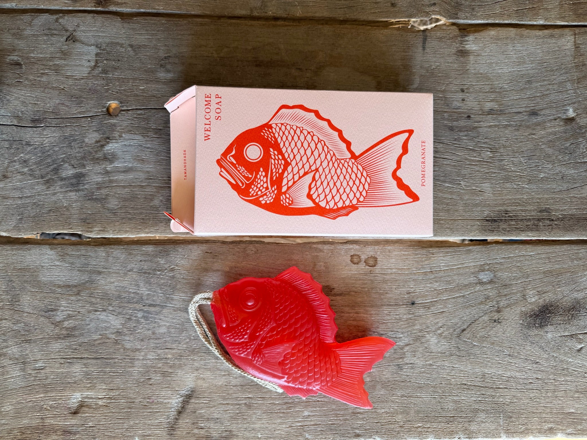Welcome Fish Soap
