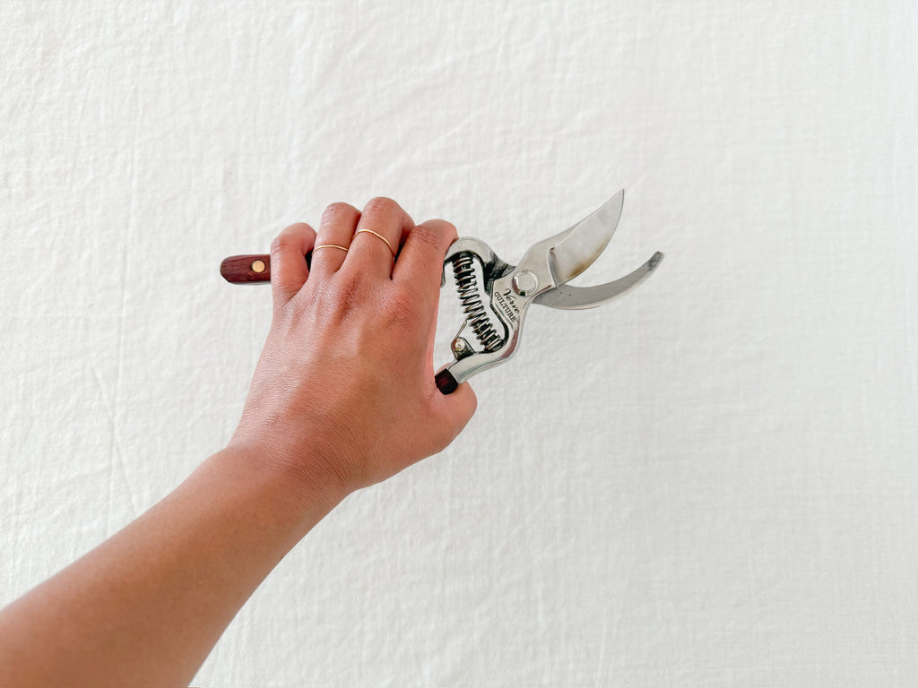 Kitchen + Garden Shears