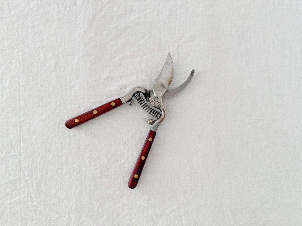 Kitchen + Garden Shears