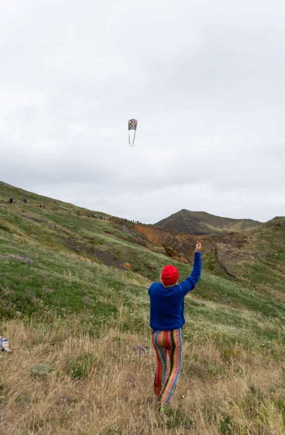 Pocket Kite