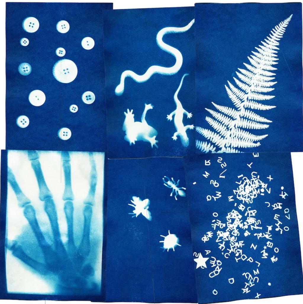 Sunography Printing
